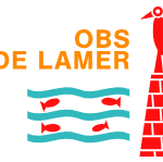 OBS de Lamer