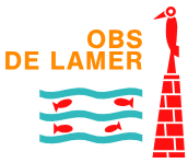 OBS de Lamer